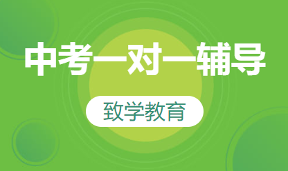 中考一对六辅导