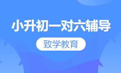 小升初一对六辅导